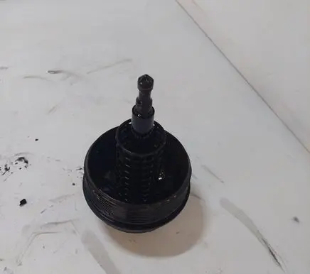 BMW 5 E39 Oil filter cover 1744000