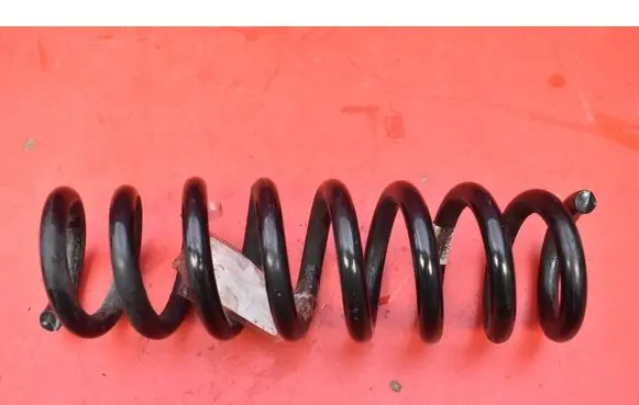 Rear coil spring