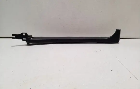 Other rear door trim element