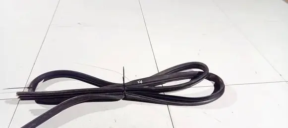 Ford C-MAX I Rubber seal front coupe door 