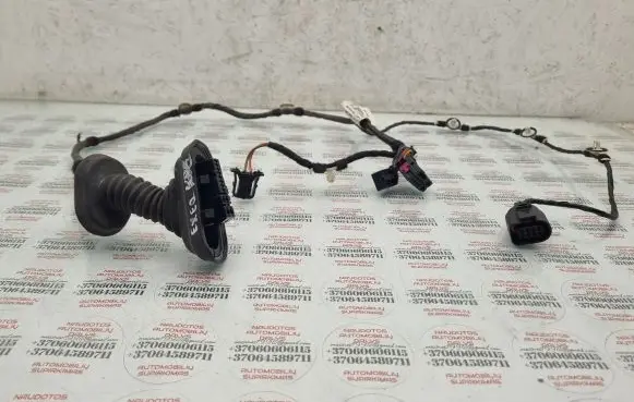 Seat Exeo (3R) Rear door wiring loom 3R0971687