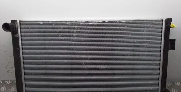 Lexus NX Coolant radiator 3609 4221353980