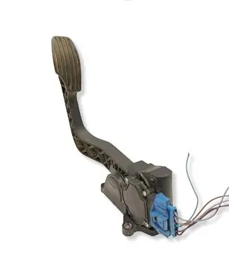 Fiat Doblo Accelerator throttle pedal 71718036 0281002460