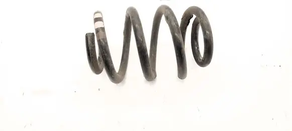 Rear coil spring