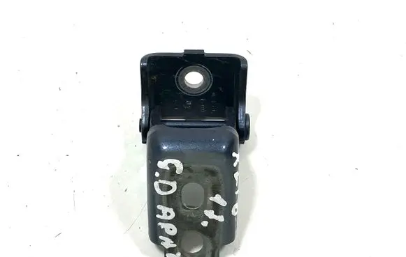 Renault Clio IV Rear door lower hinge 804200003RM
