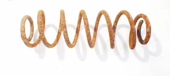 Rear coil spring