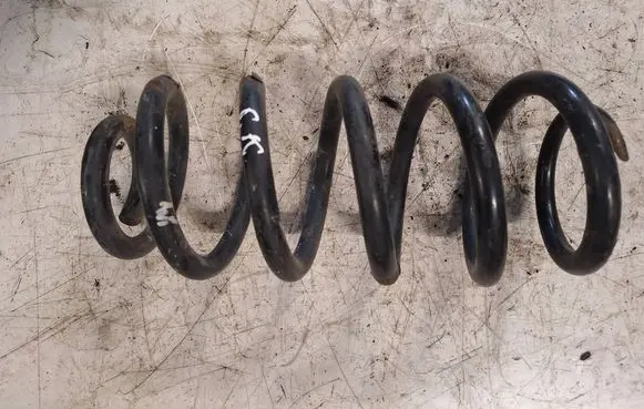 Rear coil spring