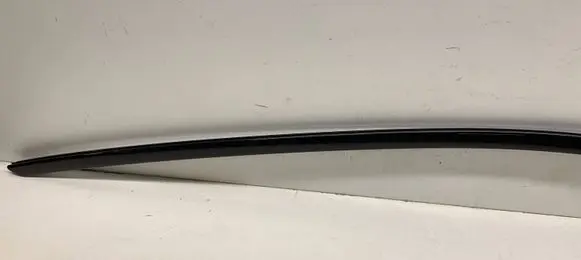 BMW X2 F39 Front door glass trim molding 7420811 51337420811 3819RRR