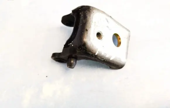 Citroen C5 Rear door lower hinge