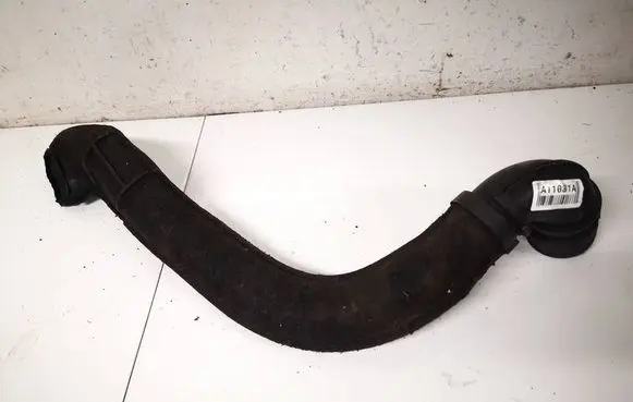 Renault Clio III Air intake hose/pipe 8200381079