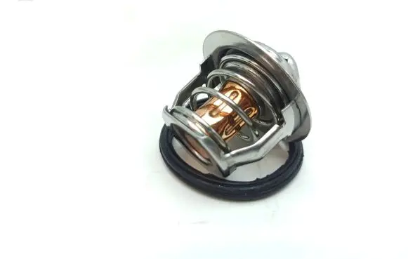 Aixam D-TRUCK Thermostat 1532173014