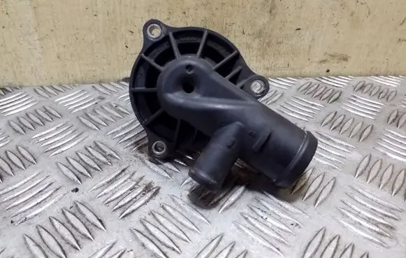 Thermostat/thermostat housing