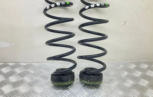 Rear coil spring