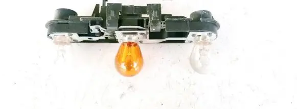 Citroen Evasion Tail light bulb cover holder