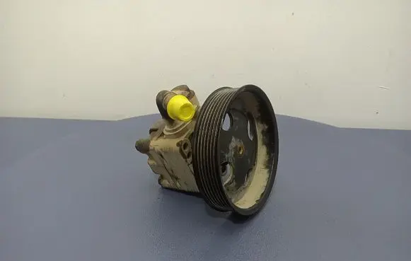 Suzuki Grand Vitara II Power steering pump 4910067J00