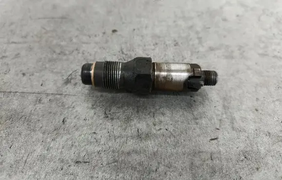 Citroen Berlingo Fuel injector LCR6736001