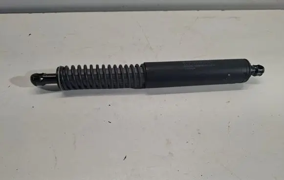 Tailgate/trunk strut/damper