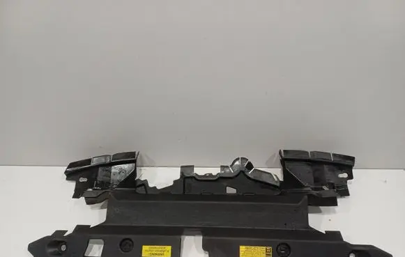 Toyota RAV 4 (XA30) Engine bonnet/hood lock trim molding 1668136010