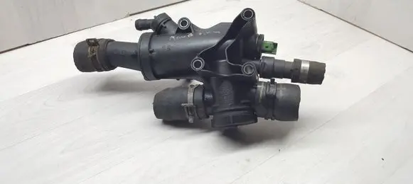 Thermostat/thermostat housing