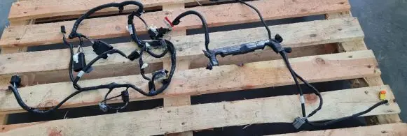 Ford Mustang VI Other wiring loom EU5T14D232J4CP7