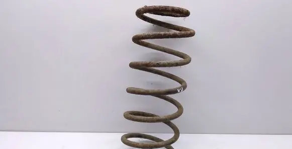 Front coil spring