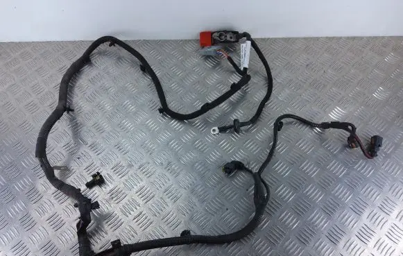 Peugeot 208 Positive cable (battery) 9841132080