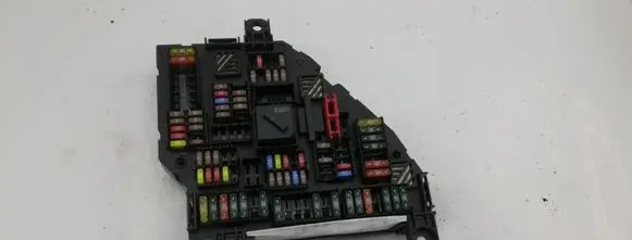 BMW 5 F10 F11 Fuse module 923442301 9234423 1670499