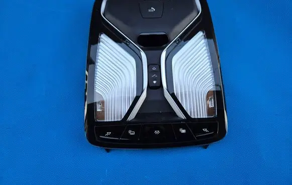 BMW X7 G07 Headlining 5B6C614