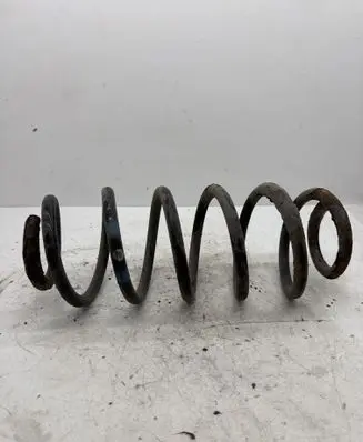 Rear coil spring