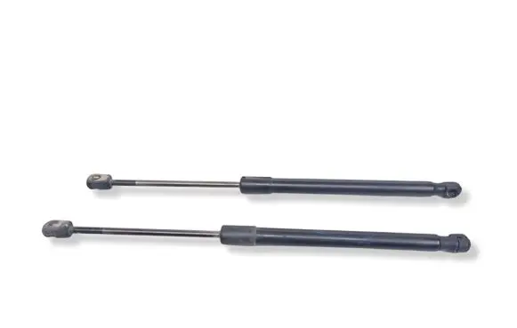 Renault Megane III Tailgate/trunk strut/damper 904510001R