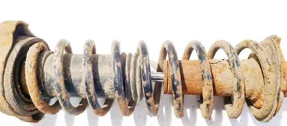Rear coil spring