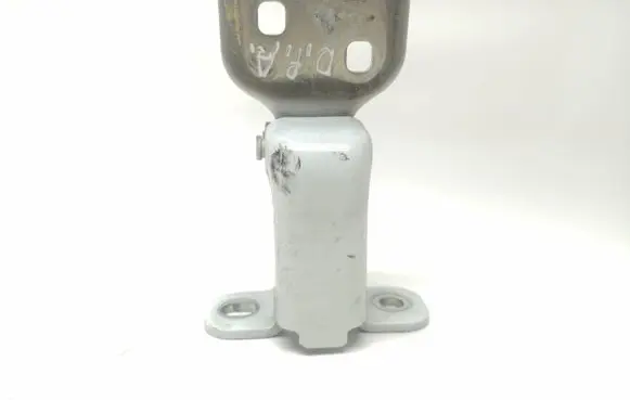 Renault Trafic III (X82) Front door lower hinge 