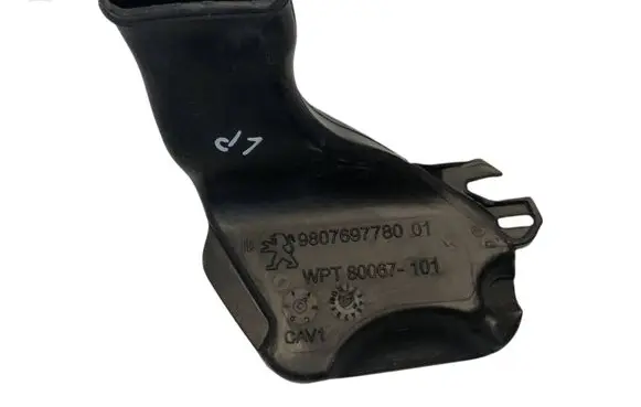 Peugeot 308 Rain gutter 9807697780