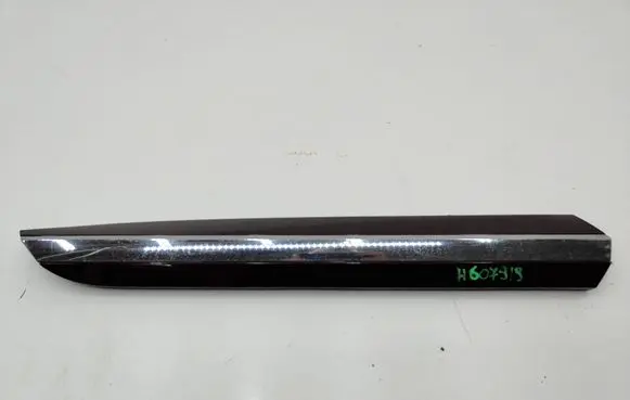 Volkswagen Arteon Rear door trim (molding) 3G8853992B