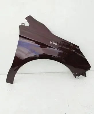Citroen C4 II Fender