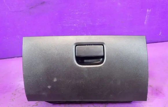Fiat Punto (199) Glove box