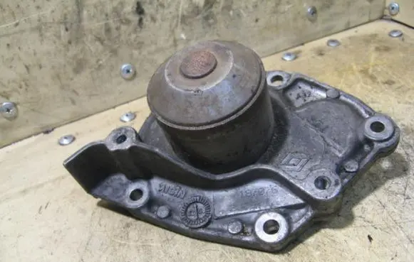 Renault Trafic I Water pump 187076 20DCI