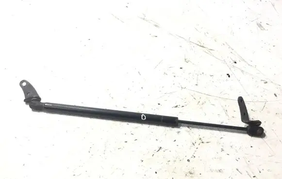Tesla Model S Front bonnet/hood damper/strut 1955050460N 6006603