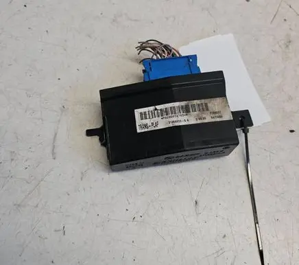 Renault Scenic I Immobilizer control unit/module 216222146
