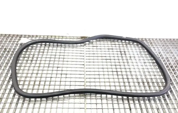 Citroen C4 III e-C4 Rubber seal front door (on door) 