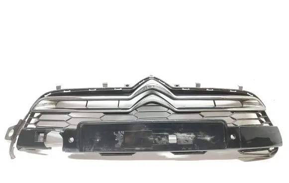 Citroen DS5 Front bumper upper radiator grill 9673279177 2007305 1094185