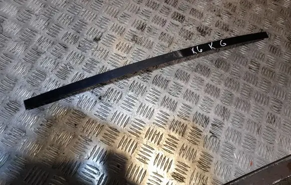 BMW X6 E71 Other rear door trim element NERA