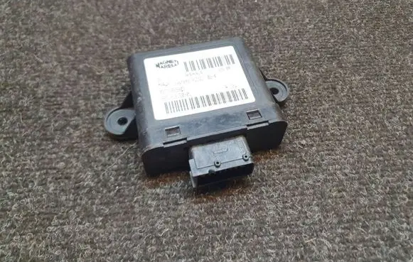 Peugeot 307 Other control units/modules 09733029903 965121218001