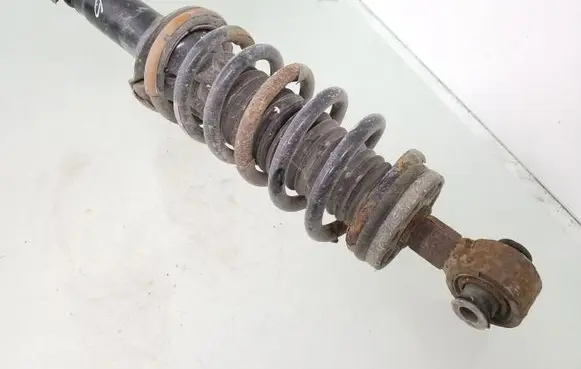 Peugeot 407 Rear shock absorber with coil spring 341826