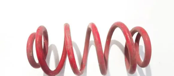 Seat Leon (1P) Rear coil spring 