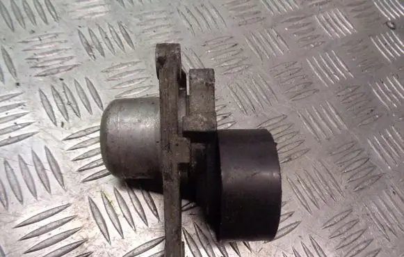 Toyota RAV 4 (XA20) Timing belt/chain tensioner 8200941079