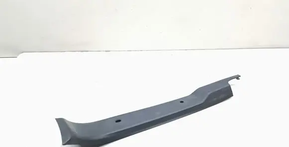 Rear/tail light trim molding