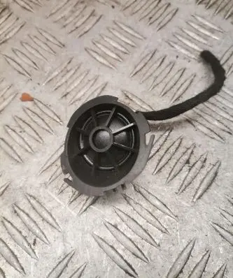 Front door high frequency speaker