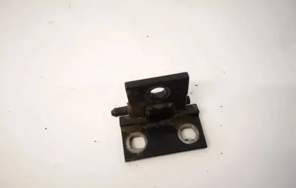 Volvo S60 Rear door lower hinge