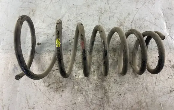 Hyundai Matrix Rear coil spring